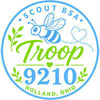 Troop 210 Logo