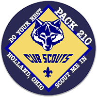 Troop 210 Logo