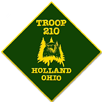 Troop 210 Logo